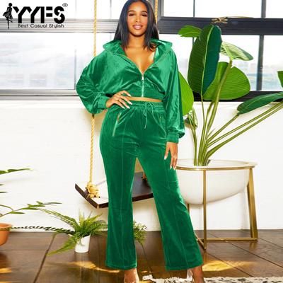 Damenmode Casual Frühling Herbst Einfarbig Druck Langarm Polokragen Blusen & Hemden Hosen Hosenanzüge