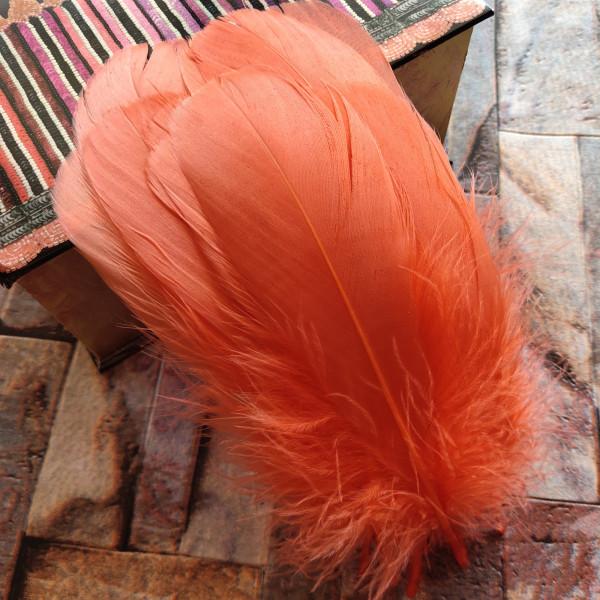 20pcs Natural Goose Feathers 31 Color Loose Goose Feathers 12-20cm Long Christmas Decoration Clothing Shoes Hat Accessories