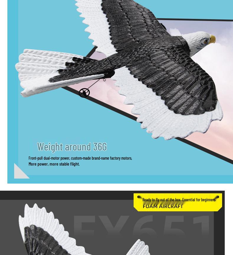 FX651 Remote Control Glider Airplane Toy - Electric Fixed-Wing Eagle for Kids Outdoor Fun