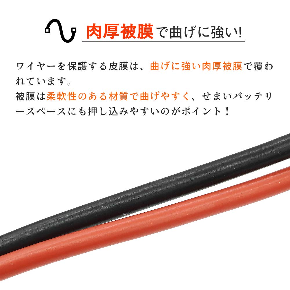 Option Nr. 1 Hohe Leistung LiPo 900mAh 11.1V (GB-0031M) [Lagerbestandssystema PTW Größe]