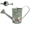 Annaffiatoio Piante Retro Beccuccio Lungo Vaso Spray 2L Annaffiatoio in Ferro per Piante da Interno Irrigazione Giardino Bottiglia per Annaffiare