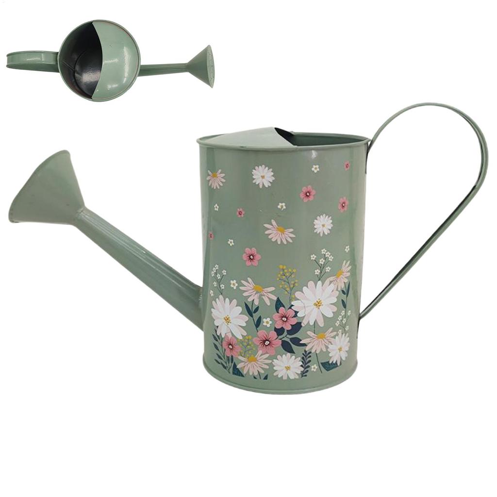 Annaffiatoio Piante Retro Beccuccio Lungo Vaso Spray 2L Annaffiatoio in Ferro per Piante da Interno Irrigazione Giardino Bottiglia per Annaffiare