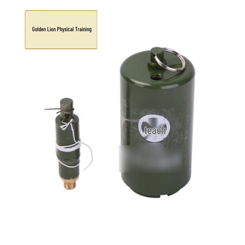 Golden Lion Type 69 Training Model