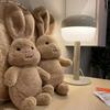30/40cm INS Kawaii Denmark Rabbit Plush Toy Stuffed Brown Bunny Doll Baby Sleeping Plushie Pillow Birthday Gift For Kids Decor