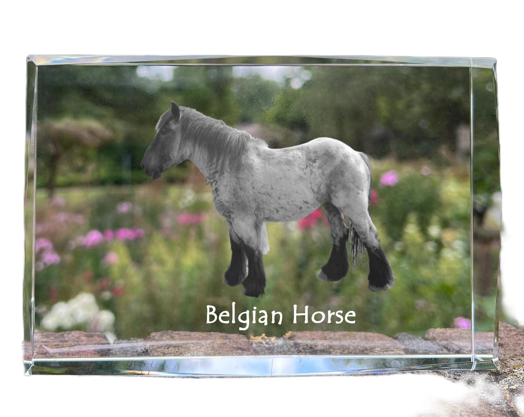 

Belgian Horse - crystal with a picture of a horse, photo in glass, modern exhibition of Art-Dog brand photo прозорий