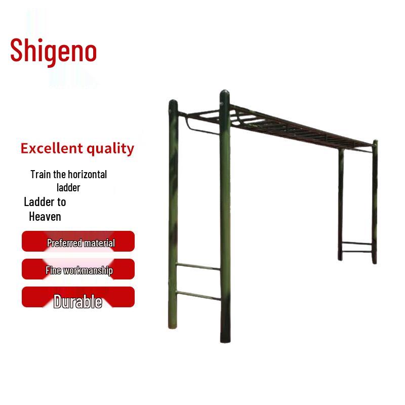 Outdoor Agility Training Ladder