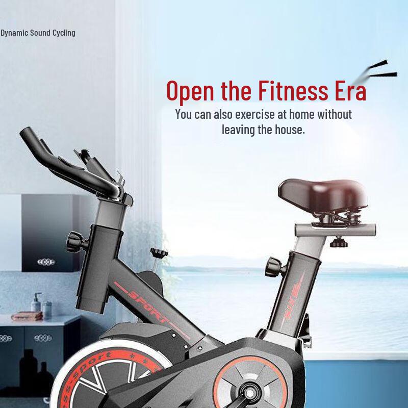 Home Indoor Spinning Exercise Bike CN Plug (adapter Included)