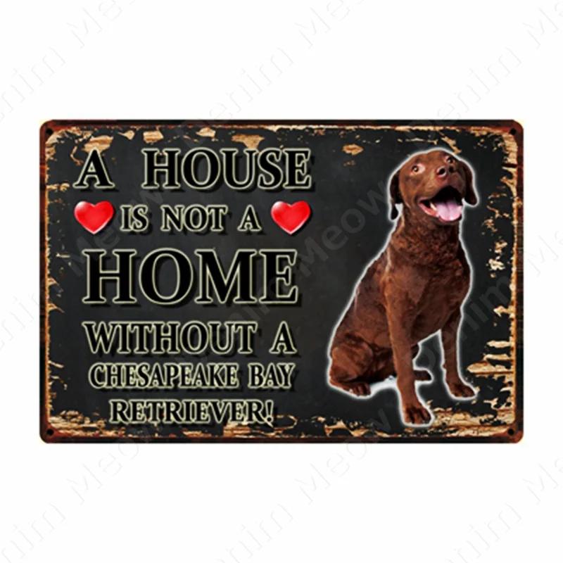 A House Is Not A Home Without A Dog Plaque, Vintage Metal Tin Signs, Bar, Cafe, Home Decor, Springer Spaniel, Wall Art Poster