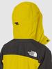 North Mountain Light Jacket Matcha Green S [The Face] Women's Gore-Tex Waterproof_NPW61831