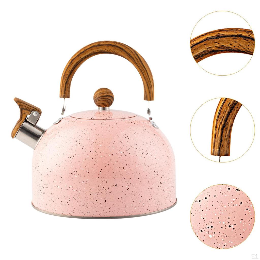 Stainless Steel Whistling Kettle Water Tea Loud Alarm Wood Handle 3L with Whistle Spout