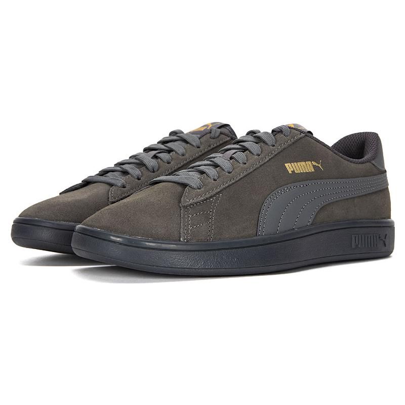 Puma Smash V2 L CN Leather Low-Top Sneakers Unisex Sneakers Gray Gold 391840-01