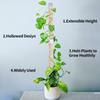 1/2Pcs Plastic Self Watering Device Moss Pole Plant Cages Plant Support Poles Plant Sticks Climbing Stand Garden Accessories