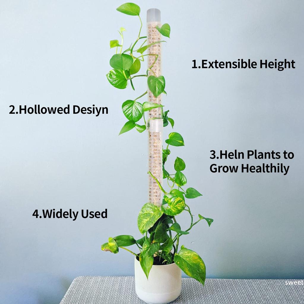 1/2Pcs Plastic Self Watering Device Moss Pole Plant Cages Plant Support Poles Plant Sticks Climbing Stand Garden Accessories