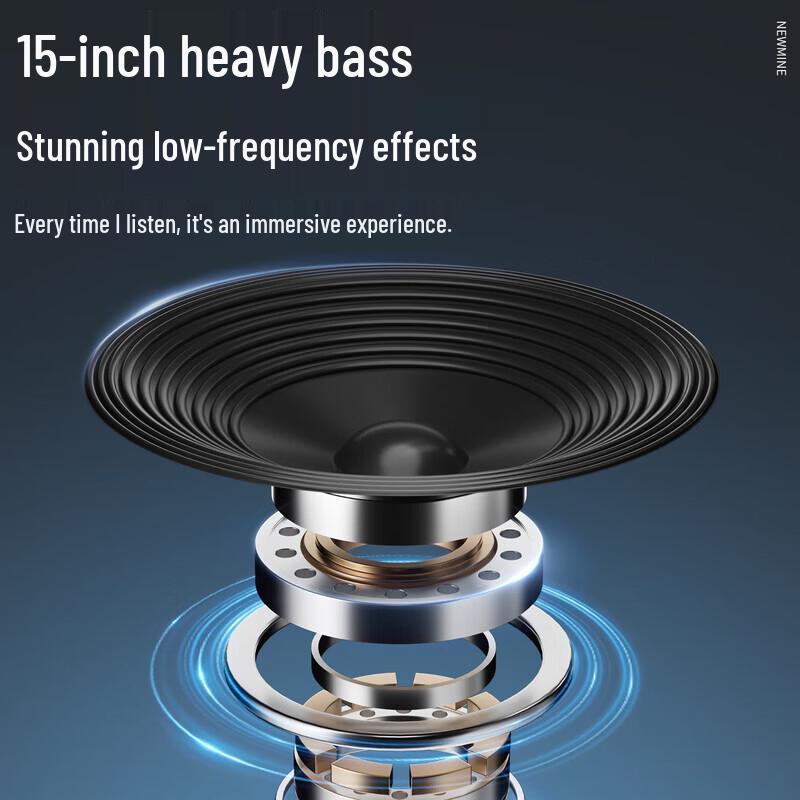 Newmine N527 15-inch Portable Bluetooth Karaoke Speaker