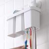 Camellia Simple Wall-Mounted Toothbrush Holder