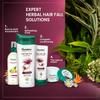 Himalaya Anti Hair Fall Cream For Men & Women 100ml Non Sticky Hair Cream With Amla And Bhringaraja For Strong Healthy Hair