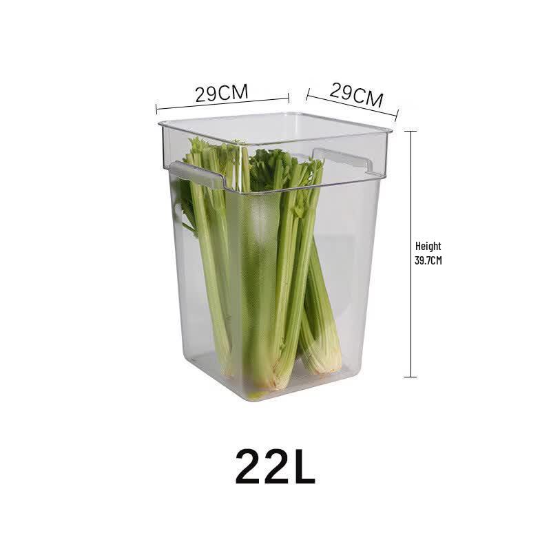 Transparent Round Food Storage Container with Lid