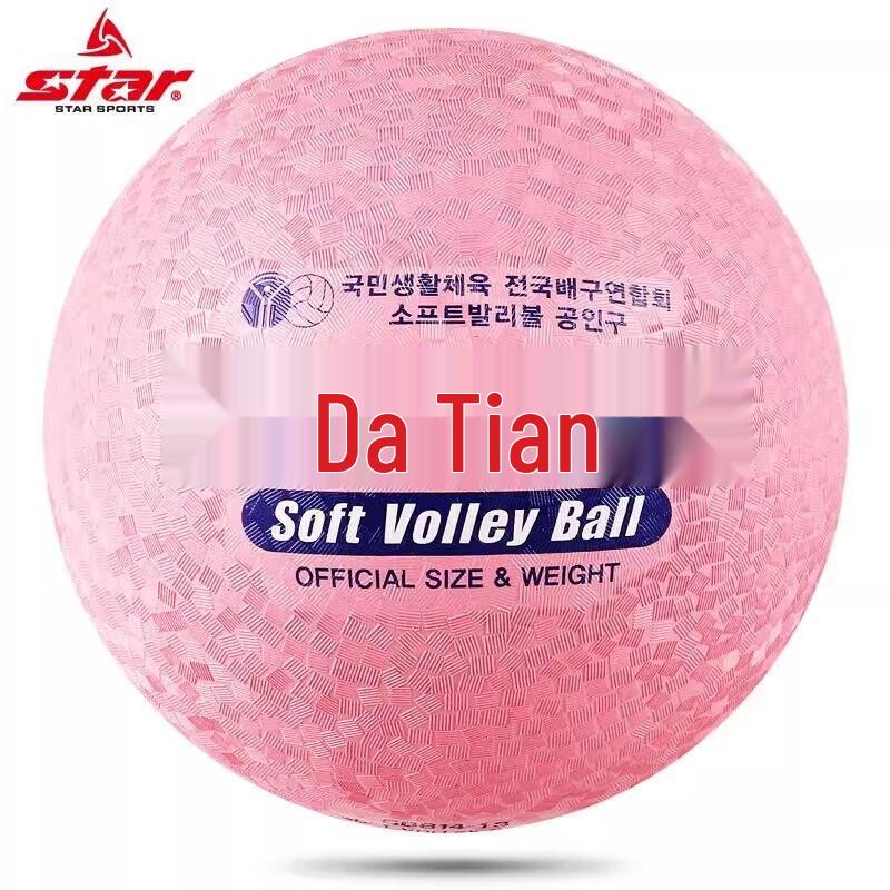 Star Adult Training Soft Volleyball