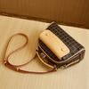Handbag for Women's Daily New Autumn and Winter Women's Crossbody Bag Retro Shoulder Bag Versatile Light Luxury Women's Bag