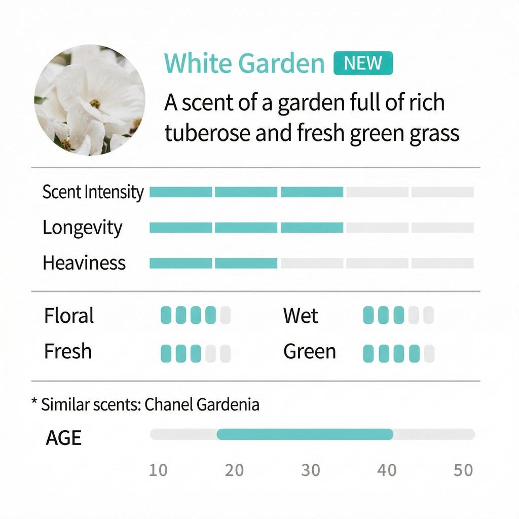 Dr.SEED Super Seed Bomb Shampoo, Treatment, Body Wash 500ml, 1000ml (Bebe Musk, Midnight Rose) (30 Options)