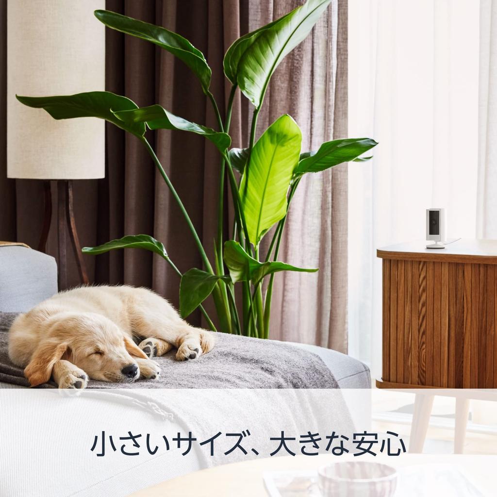 [2023 Good Design Award Winner] Ring Indoor Cam 2nd Generation White | Lightweight and Compact Indoor Security Camera, Great for Pets, Home Surveillan