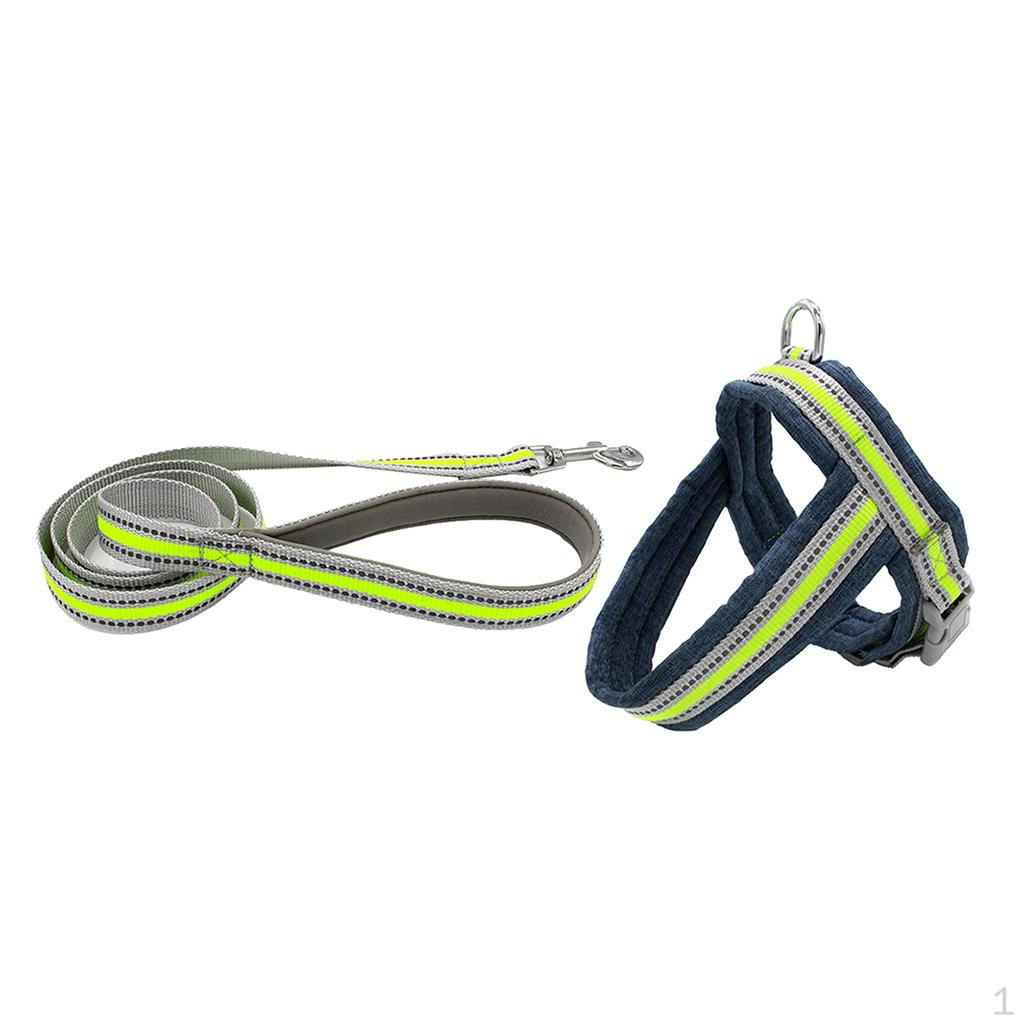 

Pet Harness Set Walking Leash For Small cat and dog Fluorescent Green L