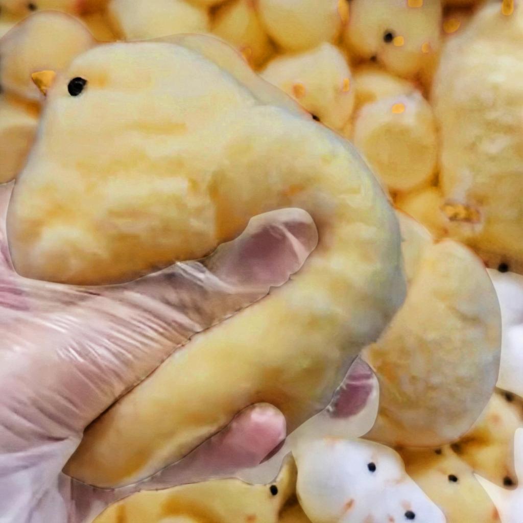 Handgemachtes Chick Taba Toys Ultraweiches Spielzeug zum Stressabbau ( Hähnchen )