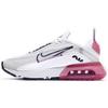 Nike Air Max 2090 'Watermelon' GS CJ4066-003