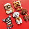 3D Shiba Inu & Pomeranian Dog Fridge Magnet - Teddy Magnetic Pet Decor Sticker