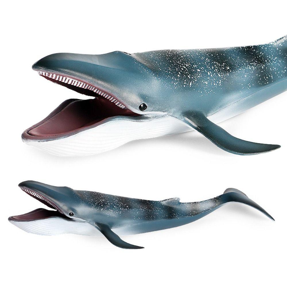 Wild Big Shark Fish Model Large Whale Desktop Ornament Ocean Animal Statue  Educational Kids Toy