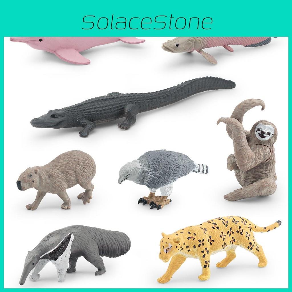 South Crocodile Dolphin American Animal Model Set Home Decor And Toy Teaching