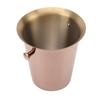Ice Bucket with Handles Stainless Steel Beer Wine Beverage Cooling Tub for Home Bar 5L Capacity
