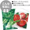KOKUYO Inkjet Printer Paper Photo Paper Glossy Paper A3 30 Sheets KJ-G14A3-30