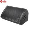 HuiDu ETM-121 Professional Stage Monitor Speaker
