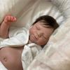 19 Inch Sleeping Reborn Baby Dolls Real Like Silicone Full Body Washable Simulation Doll Pascale Poseable Limbs Newborn Dolls for Kids Christmas Gifts