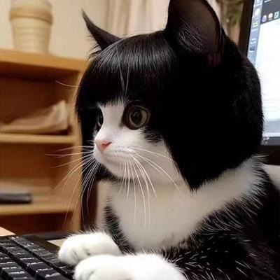 Funny Pet Wig Cosplay Costume Realistic Looking Trimmable Easy To Clean Medium Large Dog Cat Wig Decoration