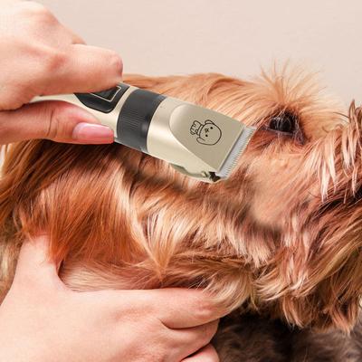 1Set Pet Hair Trimmer Professional Quiet Low Vibration Dog Hair Clipper Titanium Ceramic Cutter Grooming Tool Cat Dog Use