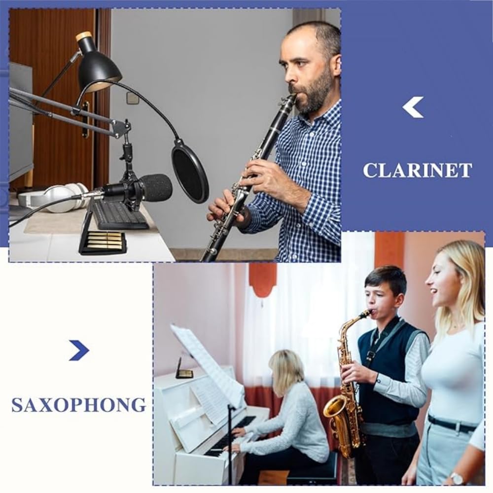 Clarinet reed case, reed storage case for clarinet reeds, alto, tenor, soprano saxophone reeds, clarinetsaxophone reed guard, multi-instrument, holds