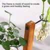 1Pc Heart Shape Hydroponic Vase Desktop Glass Plant Terrarium with Wood Support Stand Glass Vase Water Plant Propagation Station