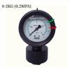 Xin Tester PP Diaphragm Pressure Gauge Plastic Double Sided PCB 2 Anti-corrosion Water Pressure Gauge 10kg 1 4 7kg PVC Acid