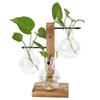 Innovative Hydroponic Vase with Wooden Stand Transparent Desktop Flower Vase for Home