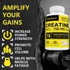 Taoters Creatine Hydrochloride Capsules Support Muscle and Immune Health 120 Capsules