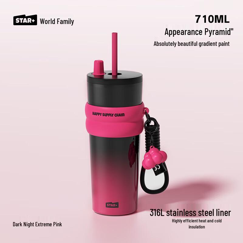Aurora Starry Night Insulated Stainless Steel Straw Tumbler