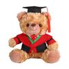 Plyšový medvídek absolvent 2025 s talárem, čepicí a střapcem, roztomilý hnědý absolvent