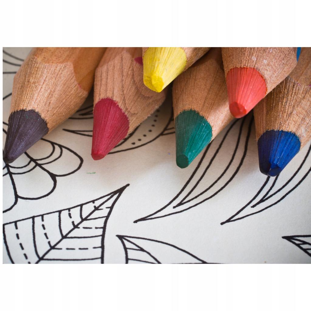 50 Illustrations Anti-Stress Thematic Coloring Book