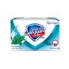 Safeguard Mint Icy Refreshing Bar Soap 100g