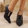 Fashion French High-heeled Single Shoes 2025 New Autumn and Winter Women's Shoes Temperament Versatile Deep Mouth Shoes