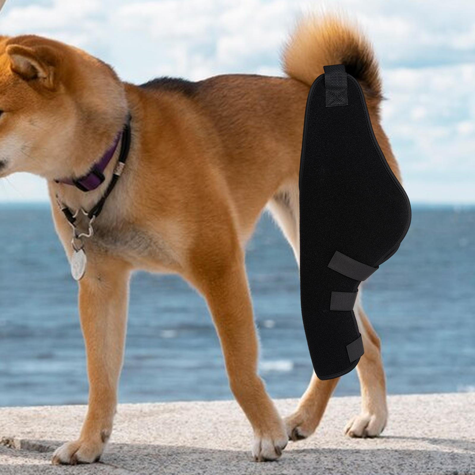 

Регулируемый коленный бандаж для собак для повышения устойчивости и комфорта left rear