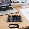 12 Key 2 Knob Programming Macro Knob Keyboard Bluetooth/Wired One Handed Mechanical Game Keypad Hotswap Red Switch for Designers