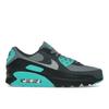 Air Max 90 Cool Grey Dusty Cactus Pánské tenisky Černá Vlčí šedá Antracitová DM0029-013